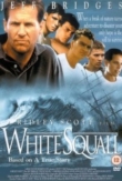 White Squall | ShotOnWhat?