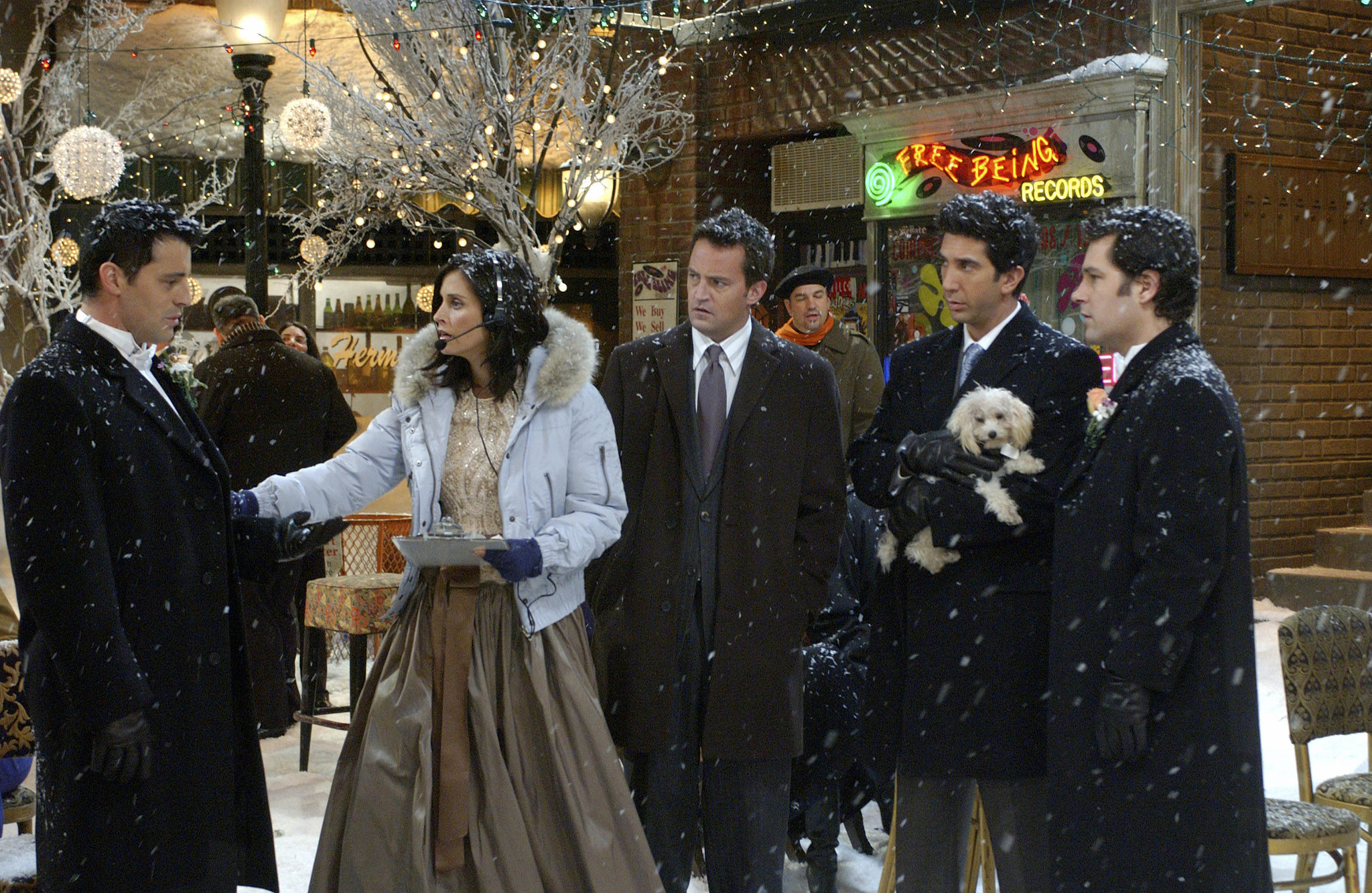 &quot;Friends&quot; The One with Phoebe's Wedding