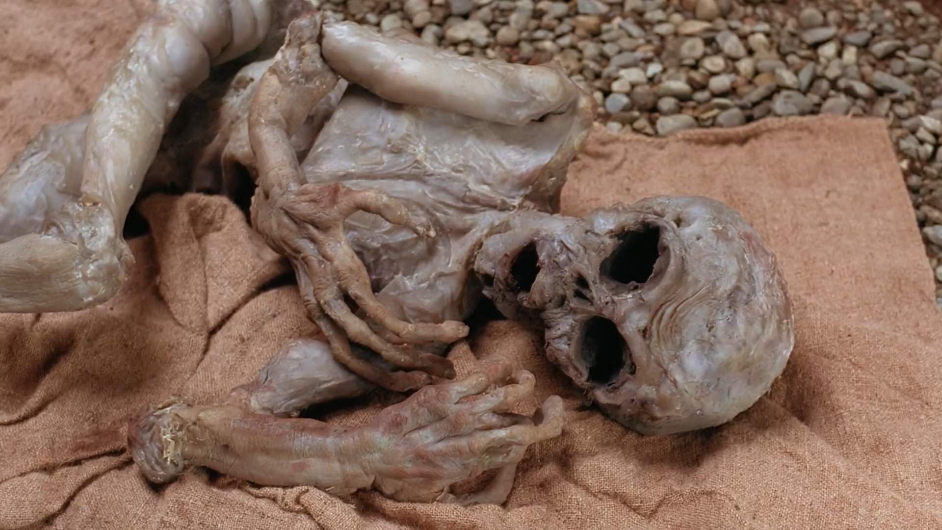 &quot;The X-Files&quot; Anasazi