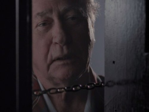 "The X-Files" Travelers