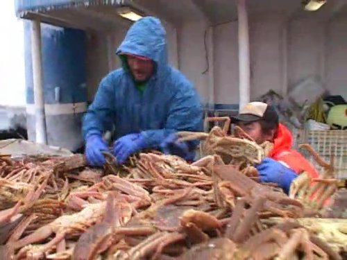 "Deadliest Catch" Race Against the Ice