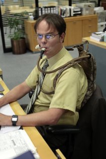 &quot;The Office&quot; Nepotism