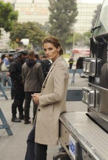 "Castle" Cops &amp; Robbers