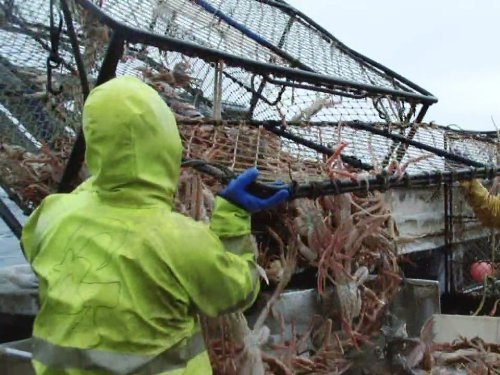 "Deadliest Catch" I Don't Wanna Die