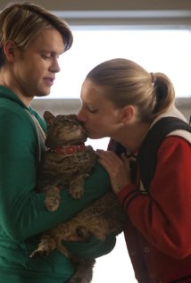 &quot;Glee&quot; Shooting Star