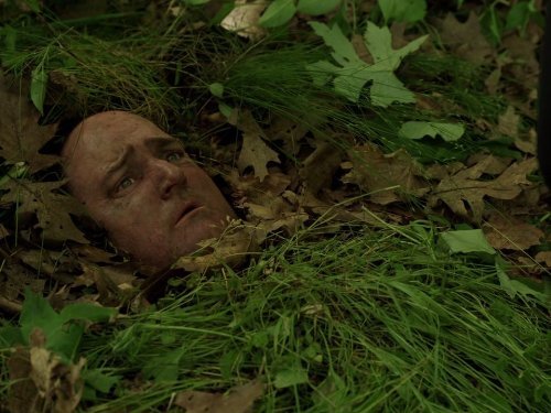 "Lost Girl" Lovers. Apart.