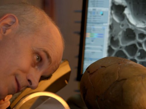 &quot;White Collar&quot; Digging Deeper