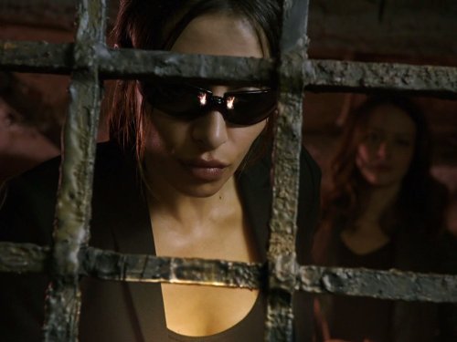 "Person of Interest" Mors Praematura