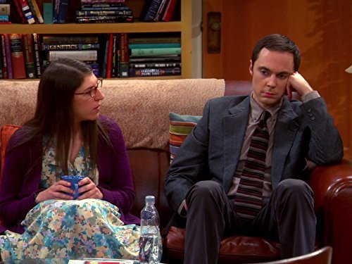 &quot;The Big Bang Theory&quot; The Thanksgiving Decoupling
