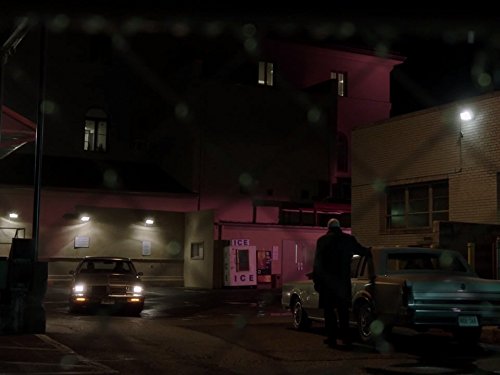 "The Americans" Pests