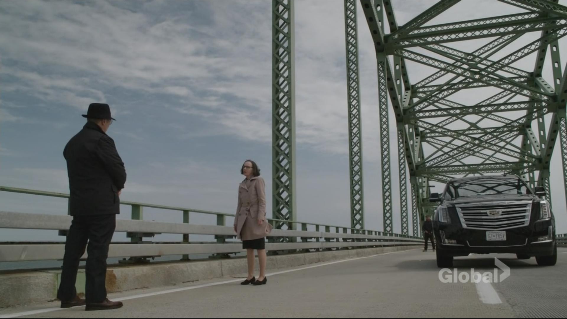 "The Blacklist" Mr. Kaplan (No. 4): Conclusion