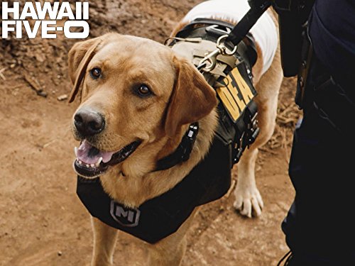 "Hawaii Five-0" Na La 'Ilio