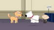 "Family Guy" Boy (Dog) Meets Girl (Dog) | ShotOnWhat?