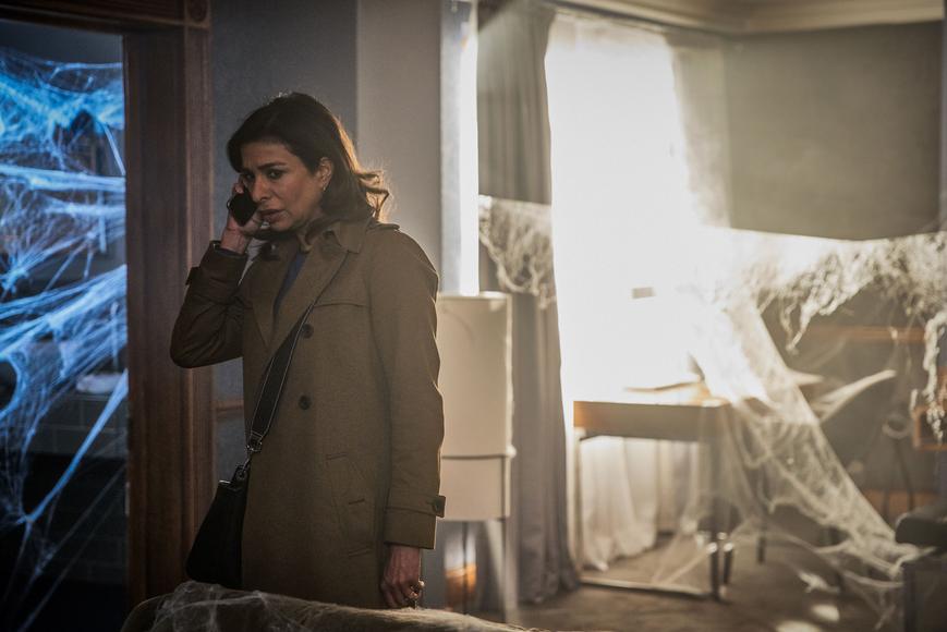 &quot;Doctor Who&quot; Arachnids in the UK