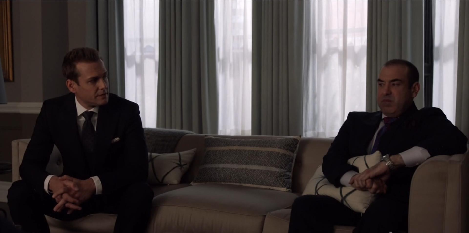 "Suits" Cats, Ballet, Harvey Specter