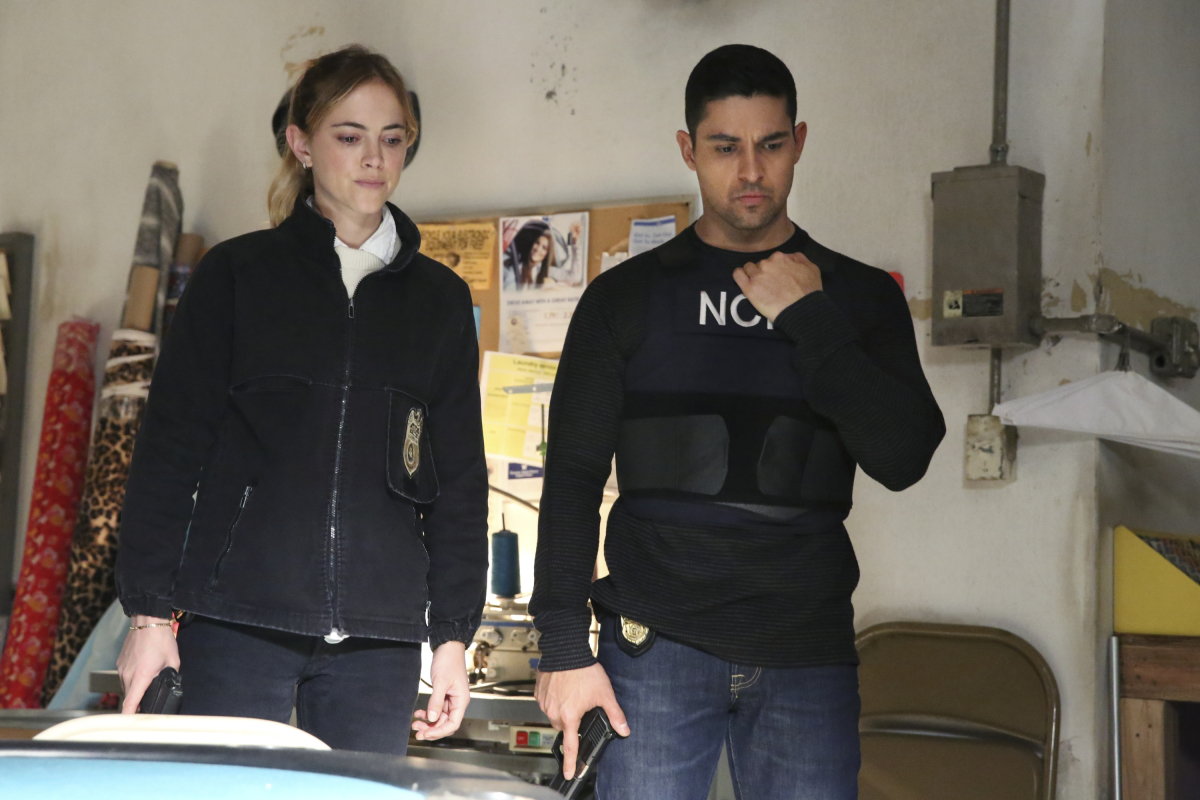 &quot;NCIS&quot; Bears and Cubs